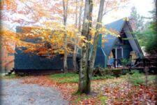 Photo of Dave’s Dream Photo of Dave’s Dream