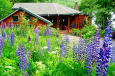 Photo of Mange Takk Photo of Mange Takk