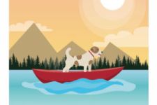 Photo of Tails of Long Lake Photo of Tails of Long Lake