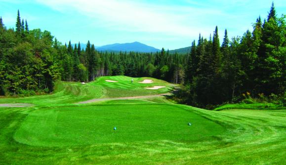 golf newcomb