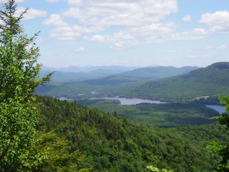 north-view-owl-head