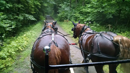 Newcombe-Farm-Wagon-Ridesopt