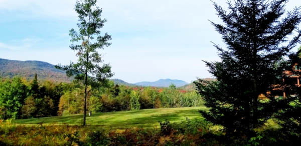 Burnt Mt Lodge Background