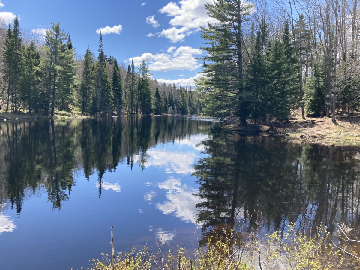 About Raquette Lake Long Lake