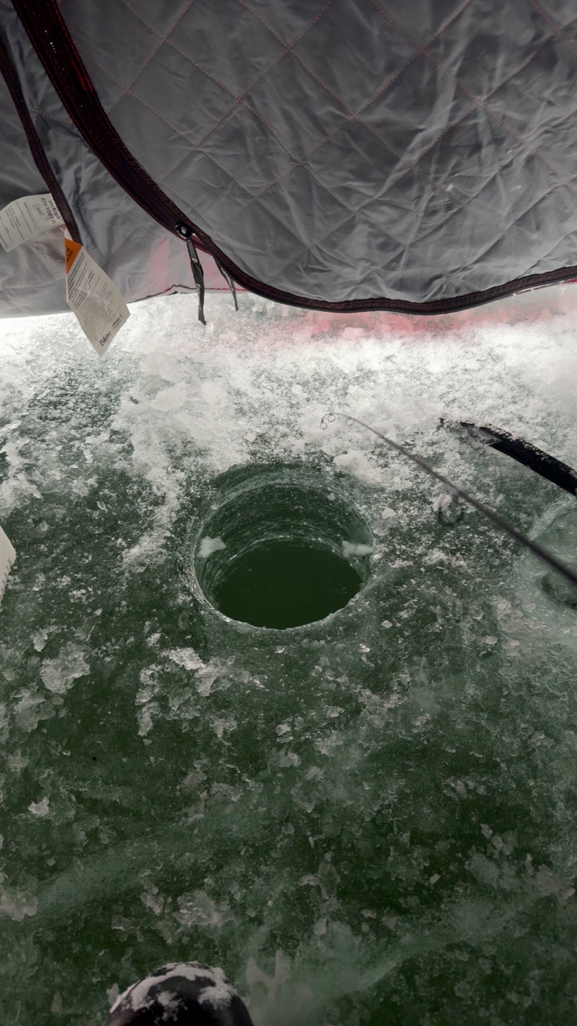 Check out the latest around town